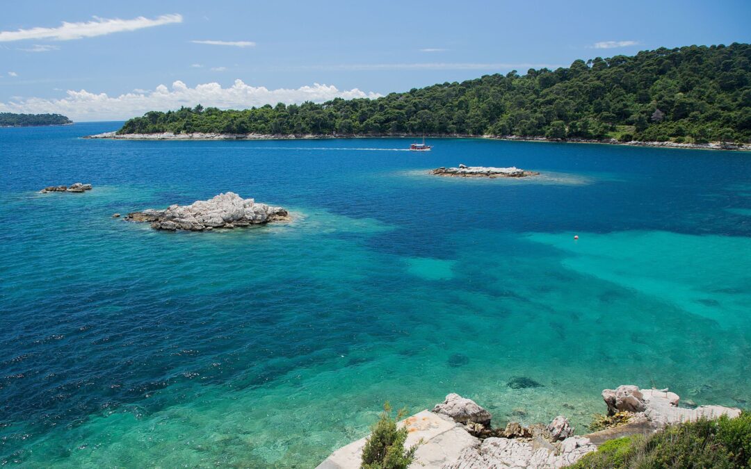 Traveller Review Awards 2021